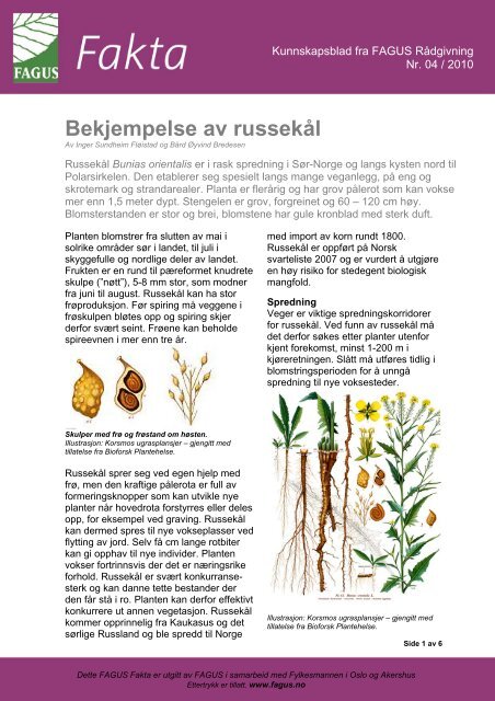 Bekjempelse av russekål - FAGUS