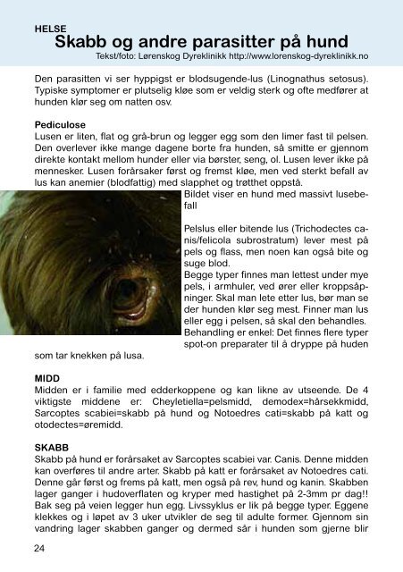 skabb og andre parasitter på hund.pdf