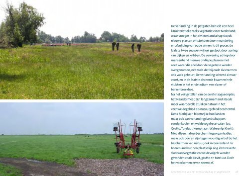 Waarheen met het veen landschap - ORAS Veenweidegebieden