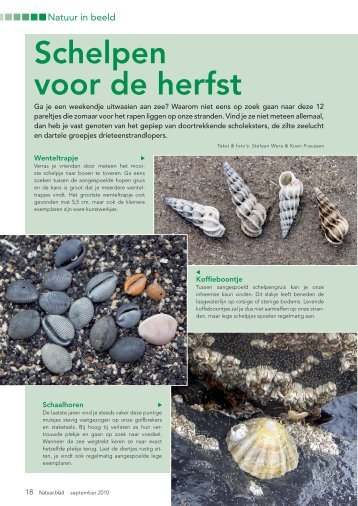 download pdf - Natuurpunt