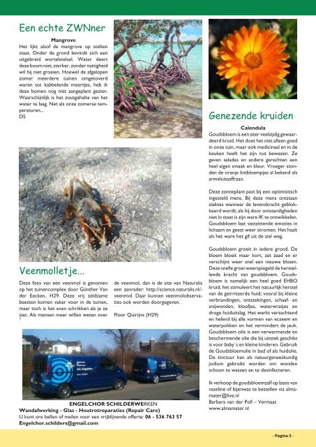 De Tuinfluiter nr. 3 herfst 2012 - Zwn Volkstuinen