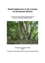 Oude boskernen in de Loonse en Drunense Duinen - Ecologisch ...