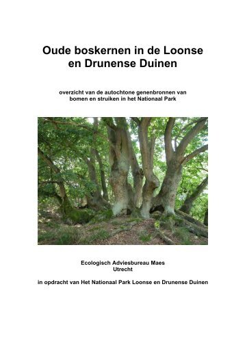 Oude boskernen in de Loonse en Drunense Duinen - Ecologisch ...