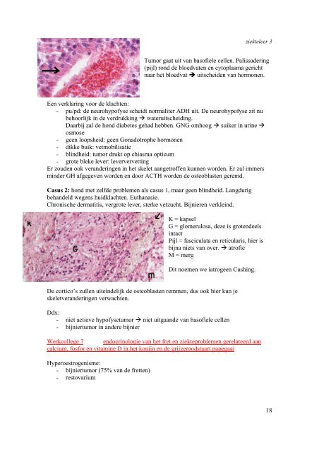 WC ZL3_samenvatting.pdf - VETserieus.nl