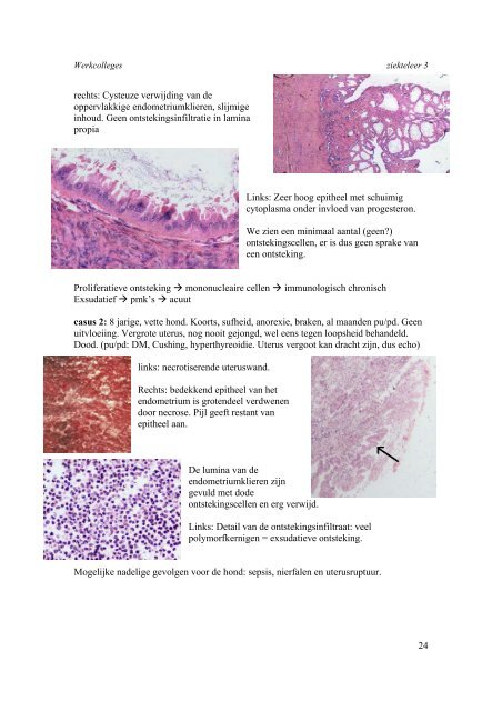 WC ZL3_samenvatting.pdf - VETserieus.nl