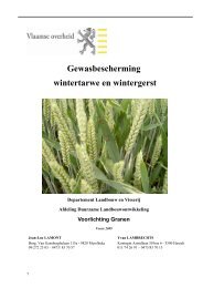 Teelthandleiding wintertarwe - Landbouw en Visserij - Vlaanderen.be