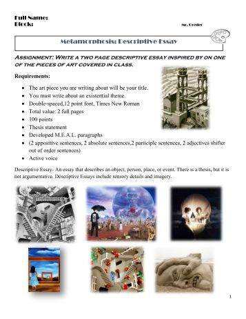 The metamorphosis analysis essay