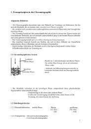 1. Trennprinzipien in der Chromatographie - hikwww8.fzk.de
