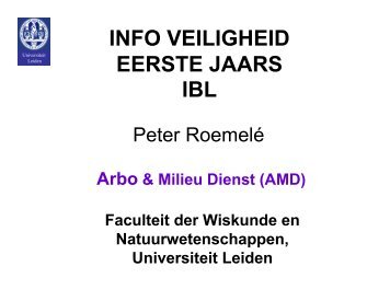 INFO VEILIGHEID EERSTE JAARS IBL