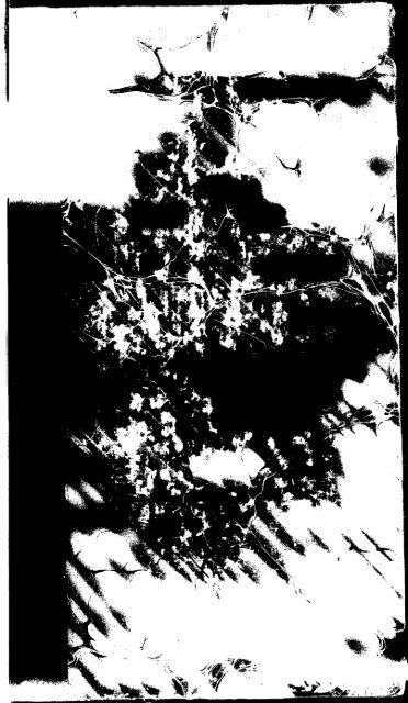 dpo_1101.pdf