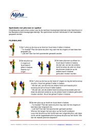 Spel met pilonnen en een bal.pdf - Nijha