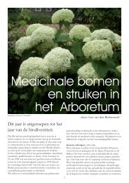 Medicinale bomen en struiken in het Arboretum