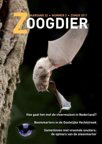 Nieuw in de Zoogdierwinkel