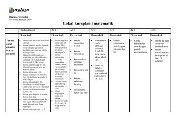 Lokal kursplan i matematik (pdf)