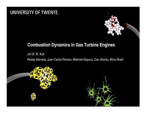 Combustion Dynamics in Gas Turbine Engines
