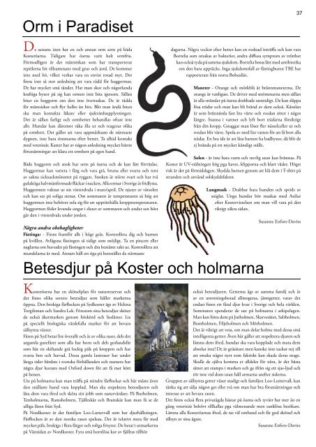 Kosterbladet 2013 - Koster Marin