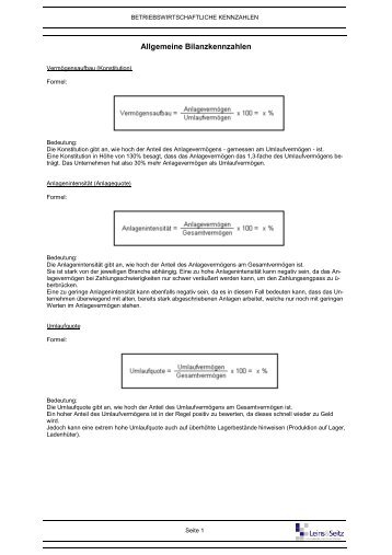 Allgemeine Bilanzkennzahlen - Leins & Seitz