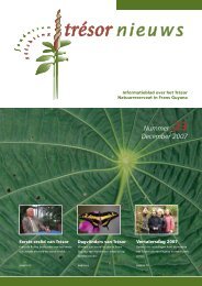 Nummer 23 December 2007 - Trésor Rainforest