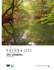 Conceptbeheerplan Sint Jansberg - Natura 2000 beheerplannen