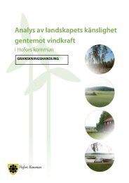 Känslighetsanalys - Hofors kommun