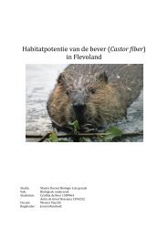 Habitatpotentie van de bever - Landschapsbeheer Flevoland