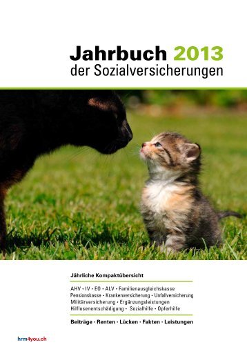 Jahrbuch 2013