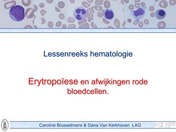 Erytropoïese en afwijkingen van de rode bloedcellen - UZ Leuven