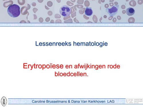 Erytropoïese en afwijkingen van de rode bloedcellen - UZ Leuven