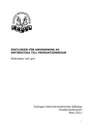 riktlinjer för användning av antibiotika till produktionsdjur