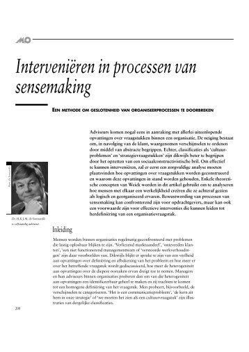 Interveniëren in processen van sensemaking - De Sonnaville BV