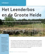 Het Leenderbos en de Groote Heide - Thuis in Brabant