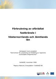 Delrapport 2 Förbrukning - Energidalen