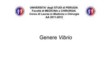 11.genere vibrio - Facoltà di Medicina e Chirurgia