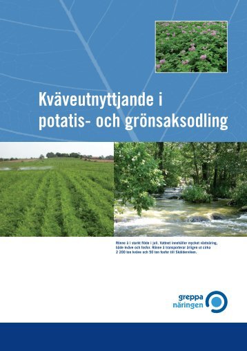 Kväveutnyttjande i potatis- och grönsaksodling - Greppa näringen