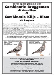 Combinatie Bruggeman Combinatie Klijs – Blom