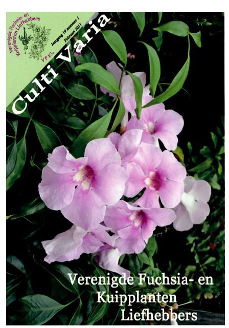 CultiVaria nummer 1 / 2011 - Verenigde Fuchsia en Kuipplanten ...