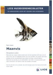 Download de huisdierenbijsluiter Maanvis - LICG