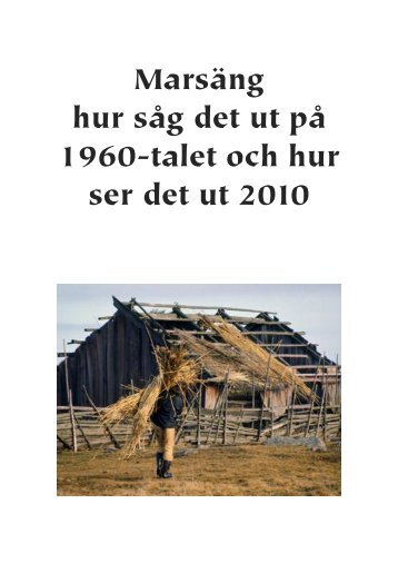 Marsäng hur såg det ut på 1960-talet och hur ser det ut 2010