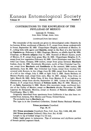 Contributions to the Knowledge of the Psyllidae of Mexico (Continued)