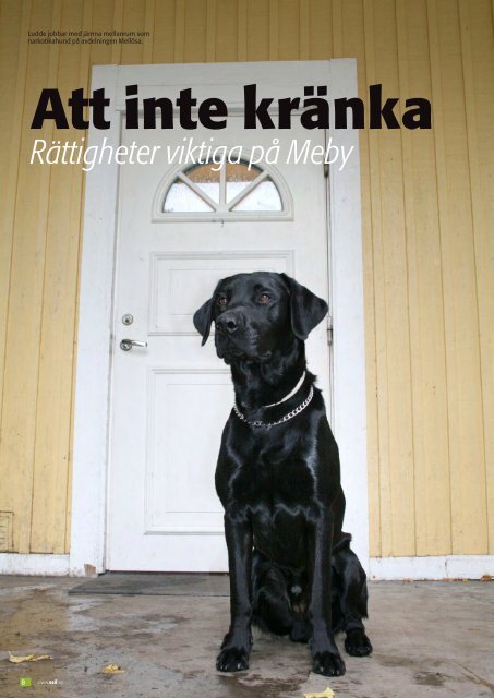 Att inte kränka - Meby Behandlingshem