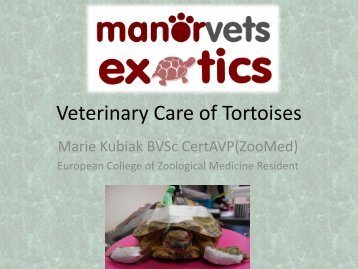 Veterinary Care of Tortoises - Manor Vets