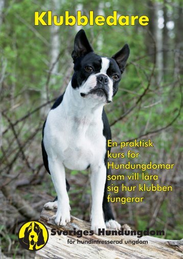 Klubbledare - Sveriges Hundungdom