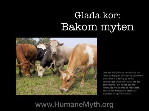 Bakom myten - Humane Myth