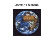 Jordens historia - Netkurs