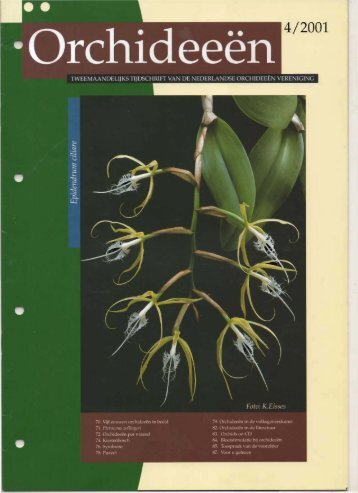 2001 - 4 - Orchideeën Vereniging Vlaanderen