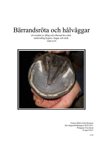 Bärrandsröta och hålväggar - Zolas Hovar