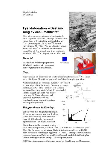 Cesiumaktivitet i renkött (PDF, 158 kB) - Skolwebben