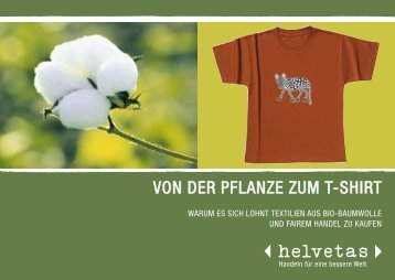 Von der Pflanze zum T-Shirt (Bio-Baumwolle