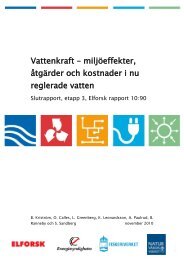 vattenkraft - miljöeffekter, åtgärder och kostnader i nu reglerade vatten