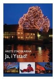 Ystad årets stadskärna, Citygruppen 2007 - Exempelbanken